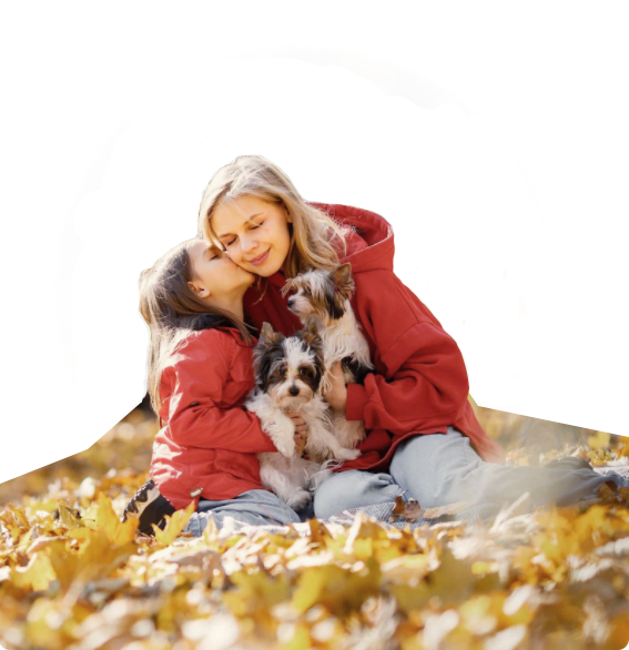 �������ʹ���-׷�󿵽�,����һ������