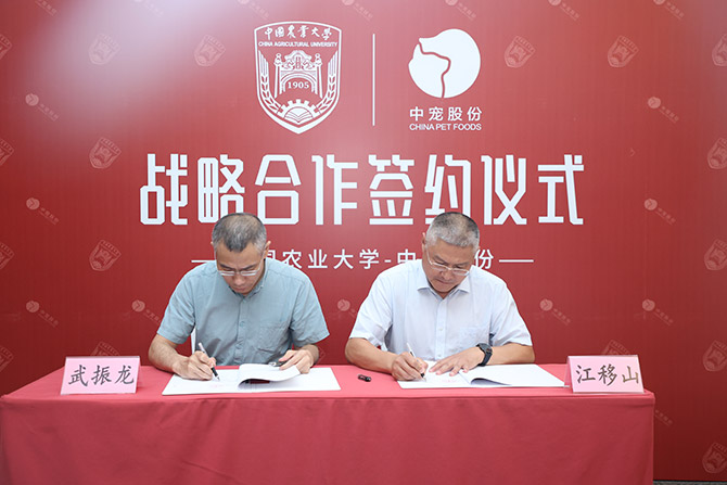 �������ʹ���-׷�󿵽�,����һ������