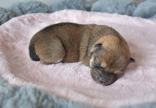 �������ʹ���-׷�󿵽�,����һ������