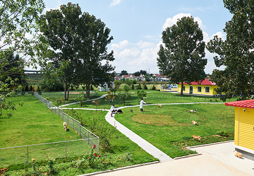 �������ʹ���-׷�󿵽�,����һ������