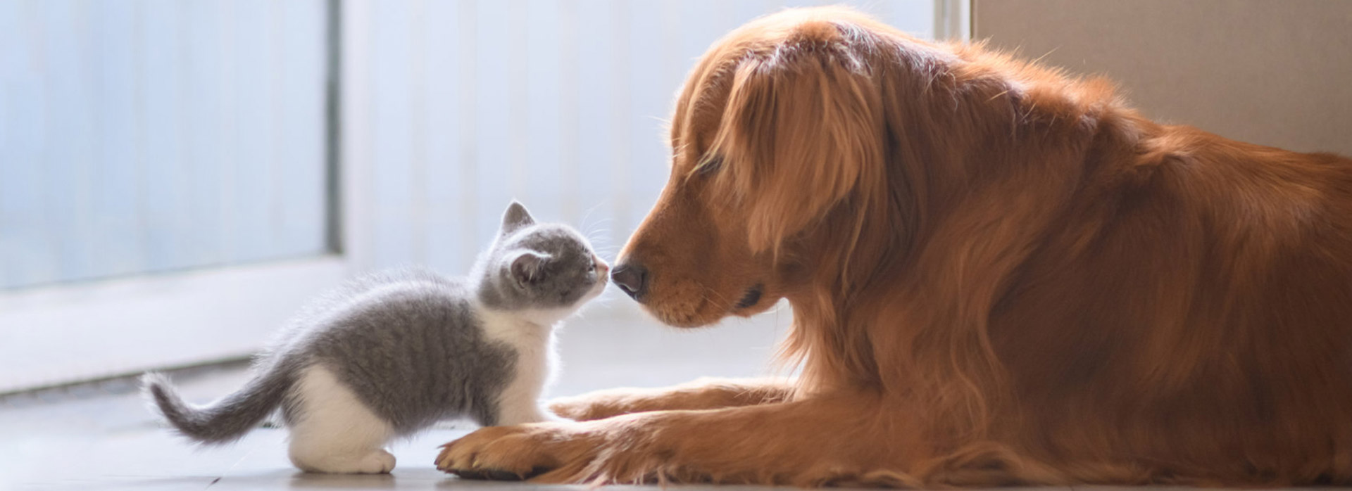 �������ʹ���-׷�󿵽�,����һ������