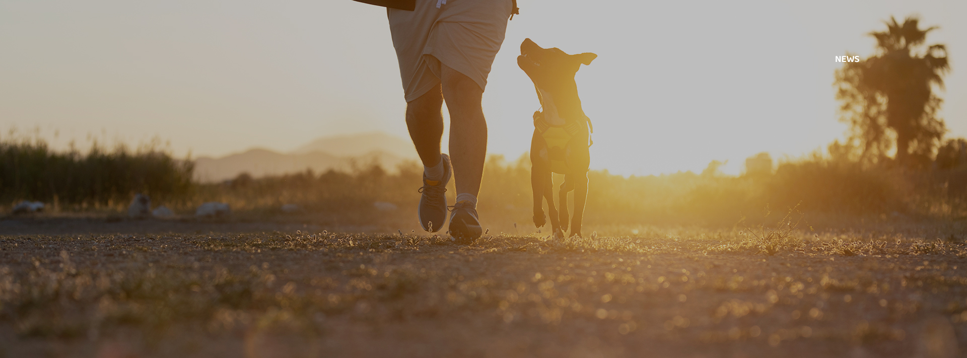 �������ʹ���-׷�󿵽�,����һ������