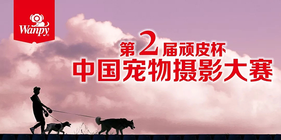 �������ʹ���-׷�󿵽�,����һ������