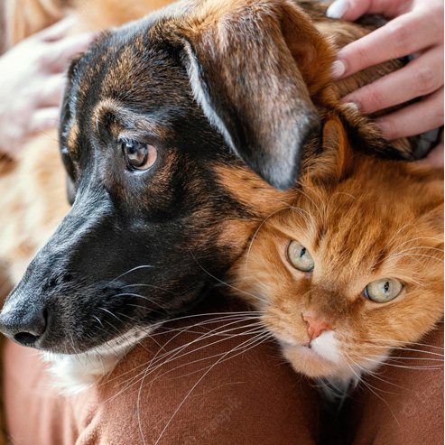 �������ʹ���-׷�󿵽�,����һ������