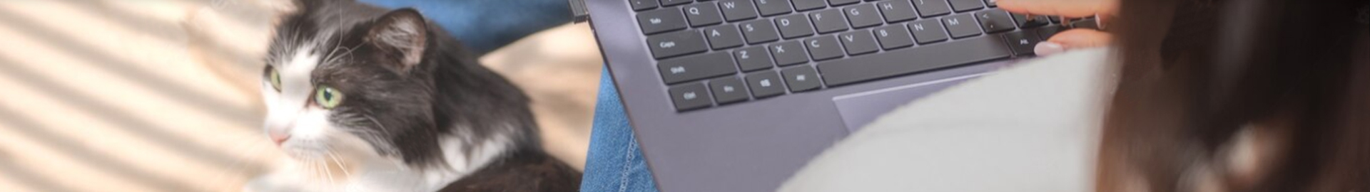 ��ҵ����