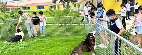 �������ʹ���-׷�󿵽�,����һ������