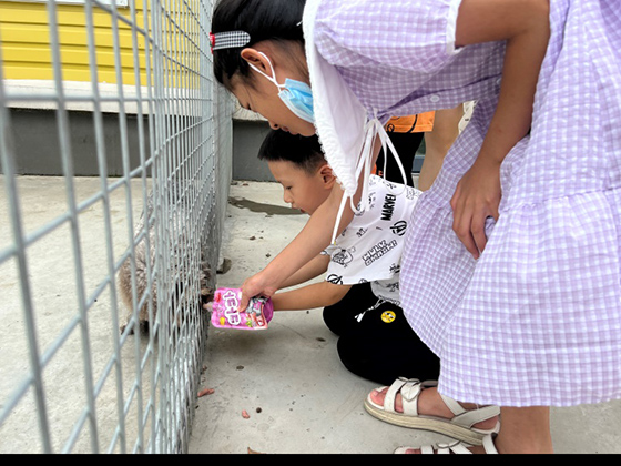 �������ʹ���-׷�󿵽�,����һ������