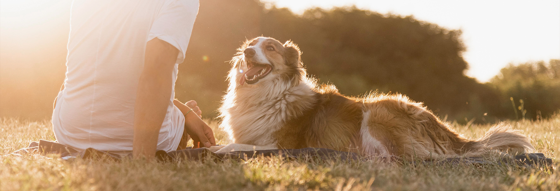 �������ʹ���-׷�󿵽�,����һ������