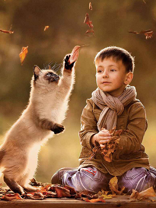 �������ʹ���-׷�󿵽�,����һ������