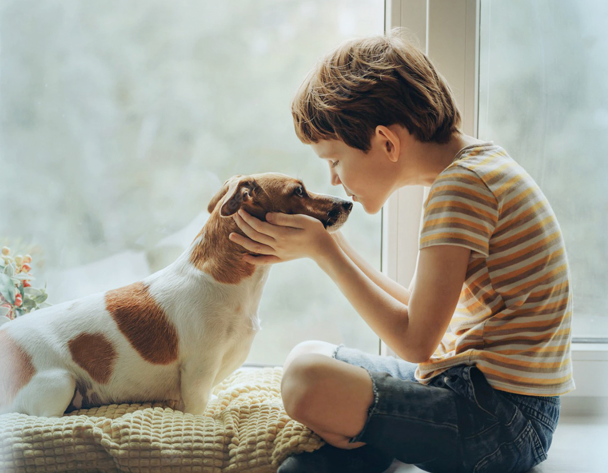 ��������:66856topʳ��ɷ����޹�˾