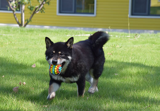 �������ʹ���-׷�󿵽�,����һ������