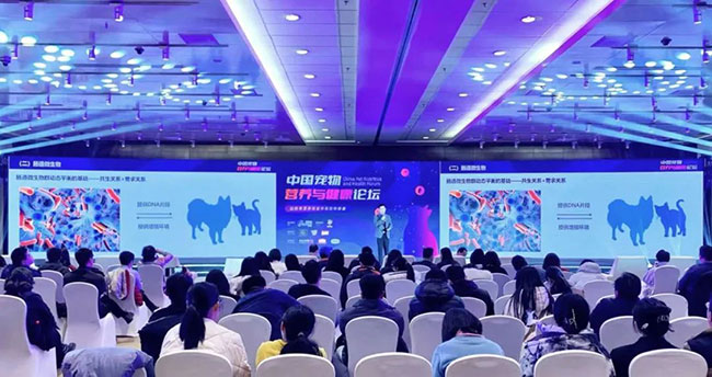 �������ʹ���-׷�󿵽�,����һ������